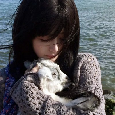 功夫熊猫之卷轴的秘密